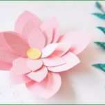 Hervorragen Diy Geschenk Mit Papier Blumen Kreativ Verpacken