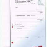 Hervorragen Einwilligungserklärung Zulassung Kfz