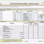 Hervorragen Excel Vorlagen Controlling Unglaubliche Kompetenzprofil