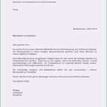 Hervorragen Fsj Bewerbung Vorlage