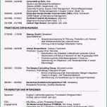 Hervorragen Ideal Lebenslauf Für Uni Vorlage Tabellarischer