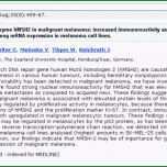 Hervorragen Kapitel 5