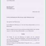 Hervorragen Kündigung Mietvertrag Muster