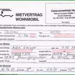 Hervorragen Kündigung Minijob Vorlage Pdf Probe 18 Erstaunlich