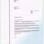 Hervorragen Kündigung Wegen Eigenbedarf An Einen Mieter Muster