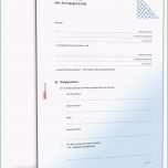 Hervorragen Kunstmietvertrag Muster