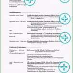 Hervorragen Lebenslauf Praktikum Studentin Beispiele