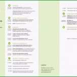 Hervorragen Lebenslauf Praktikum Studentin Beispiele