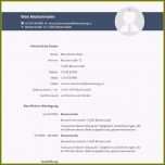 Hervorragen Lebenslauf Vorlage 2016 9 Bewerbung Schreiben 2016 Savoir