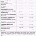 Hervorragen Mieterselbstauskunft Zur Vorlage Beim Vermieter