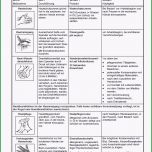 Hervorragen Muster Hautschutzplan Pflege