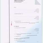 Hervorragen Musterbrief Lebenslauf thelayer