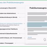 Hervorragen Praktikumszeugnis formulierungen Inhalt Muster