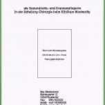 Hervorragen Projektarbeit Vorlage Fabelhafte Praktikumsmappe Deckblatt