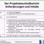 Hervorragen Projektbericht Vorlage Bewundernswert Schön
