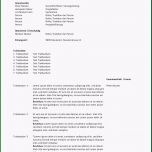 Hervorragen Protokoll Vorlage Word &amp; Excel Kostenlos