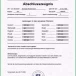 Hervorragen Realschulabschluss Kaufen