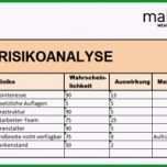 Hervorragen Risikoanalyse Phb Generator Can Do Projektmanagement