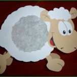 Hervorragen Schaf Laterne Basteln