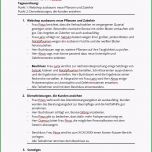 Hervorragen so Schreibt Man Ein Gesprächsprotokoll Beispiele Und