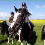 Hervorragen Stadt Fehmarn tourismus