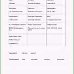 Hervorragen Steckbrief Englisch Muster Wunderbar Kostenlose Steckbrief
