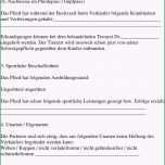 Hervorragen Trainingsplan Pferd Vorlage Niedlich Pferd Verkauf