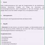 Hervorragen Verfahrensanweisung Muster