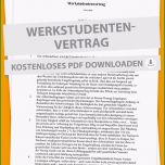 Hervorragen Werkstudenten Mustervertrag