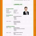 Phänomenal 11 Lebenslauf Muster Ausbildung