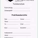 Phänomenal 12 Praktikumsbericht Deckblatt Vorlage Word