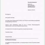 Phänomenal 13 Stellungnahme Schreiben Vorlage