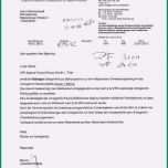 Phänomenal 14 Schriftliche Stellungnahme Vorlage