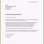 Phänomenal 15 Bewerbung Intern Vorlage