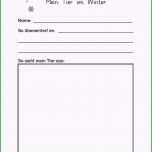Phänomenal 15 Buch Steckbrief Grundschule