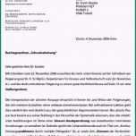 Phänomenal 15 Schriftliche Stellungnahme Polizei Vorlage