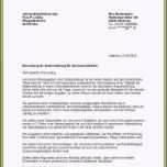 Phänomenal 15 Steckbrief Neuer Mitarbeiter Vorlage