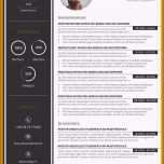 Phänomenal 15 Vorlage Bewerbung Design