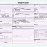 Phänomenal 16 Pflegeplanung Beispiel