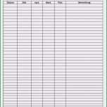 Phänomenal 16 Tagesplan Excel Vorlage