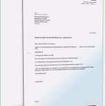 Phänomenal 17 Inspiration Vorlage Einspruch Gegen Bußgeldbescheid