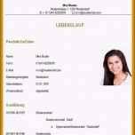 Phänomenal 17 Schüler Lebenslauf Für Praktikum