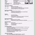 Phänomenal 20 Lebenslauf Akademiker