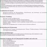 Phänomenal 20 Zeitungsartikel Schreiben Vorlage