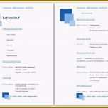 Phänomenal 21 Bewerbungen Vorlage 2016