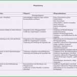 Phänomenal 26 Beispiele Pflegeplanung