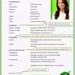 Phänomenal 44 Beispiel Das Beste Von Lebenslauf Ausbildung Muster