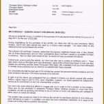 Phänomenal 8 Anschreiben Bewerbung Friseurin