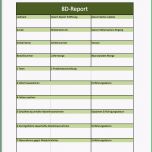 Phänomenal 8d Report Als Excelvorlage