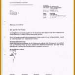 Phänomenal 9 Kündigung 450 Euro Job Muster